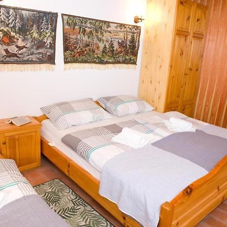 Planinca -Hisa Z Razgledom Apartman Smarje pri Jelsah Kültér fotó