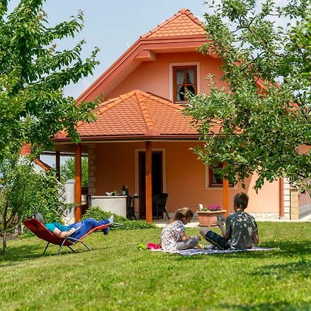 Planinca -Hisa Z Razgledom Apartman Smarje pri Jelsah Kültér fotó