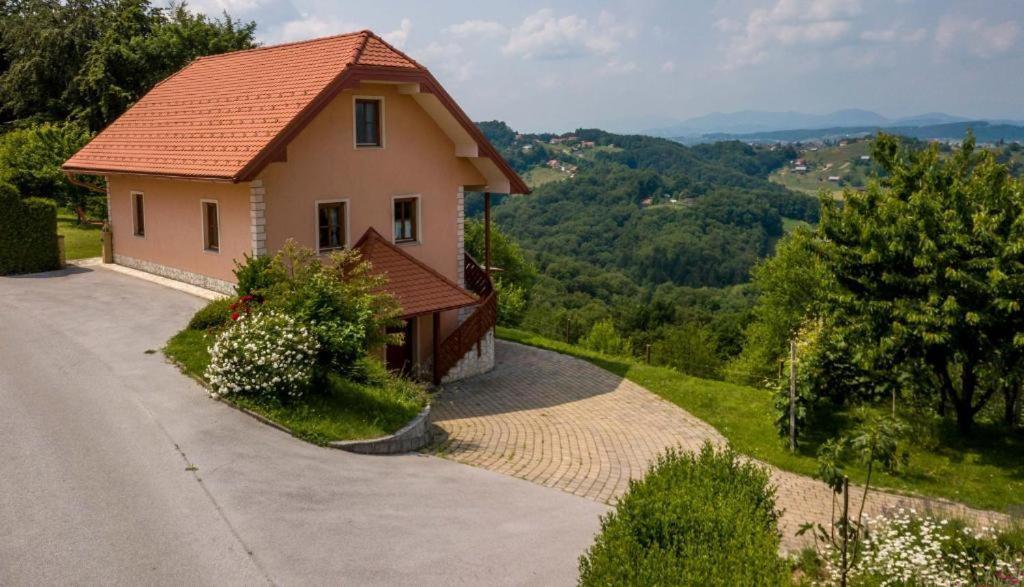 Planinca -Hisa Z Razgledom Apartman Smarje pri Jelsah Kültér fotó
