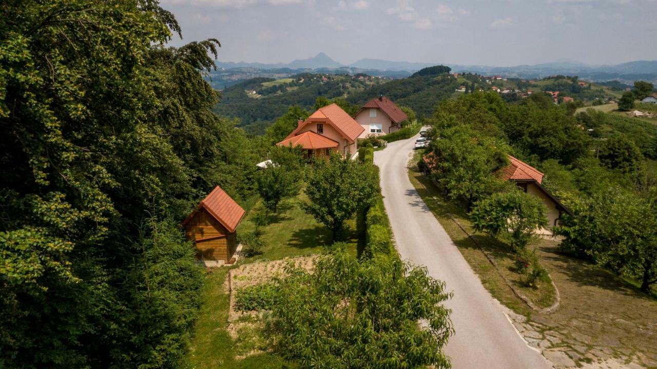 Planinca -Hisa Z Razgledom Apartman Smarje pri Jelsah Kültér fotó