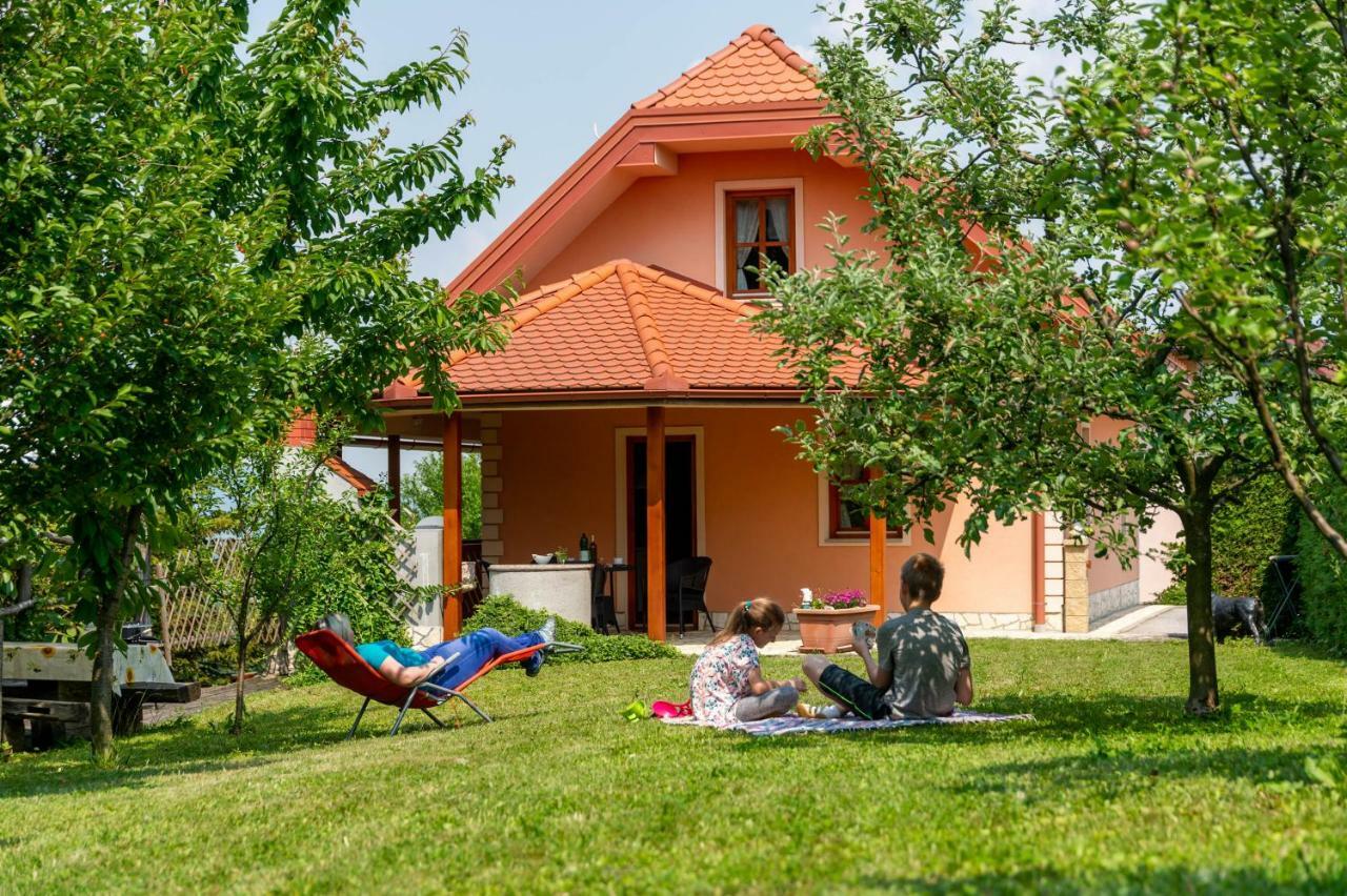 Planinca -Hisa Z Razgledom Apartman Smarje pri Jelsah Kültér fotó